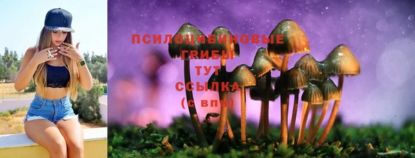 соль ск Беломорск