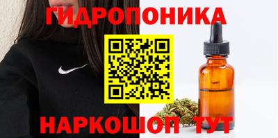 МДПВ Новокубанск