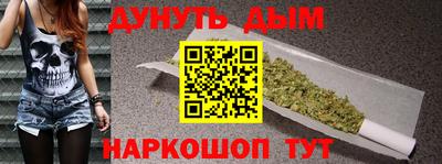 мдпв Новозыбков
