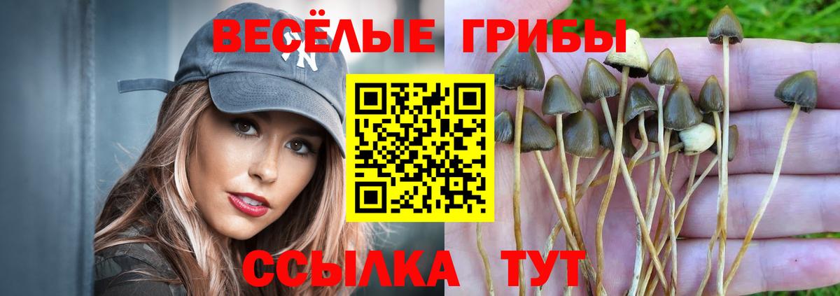 Галлюциногенные грибы Magic Shrooms  Вход с VPN  Галлюциногенные грибы Psilocybe  купить наркоту  Валуйки 